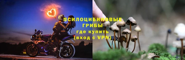 круглые Вяземский